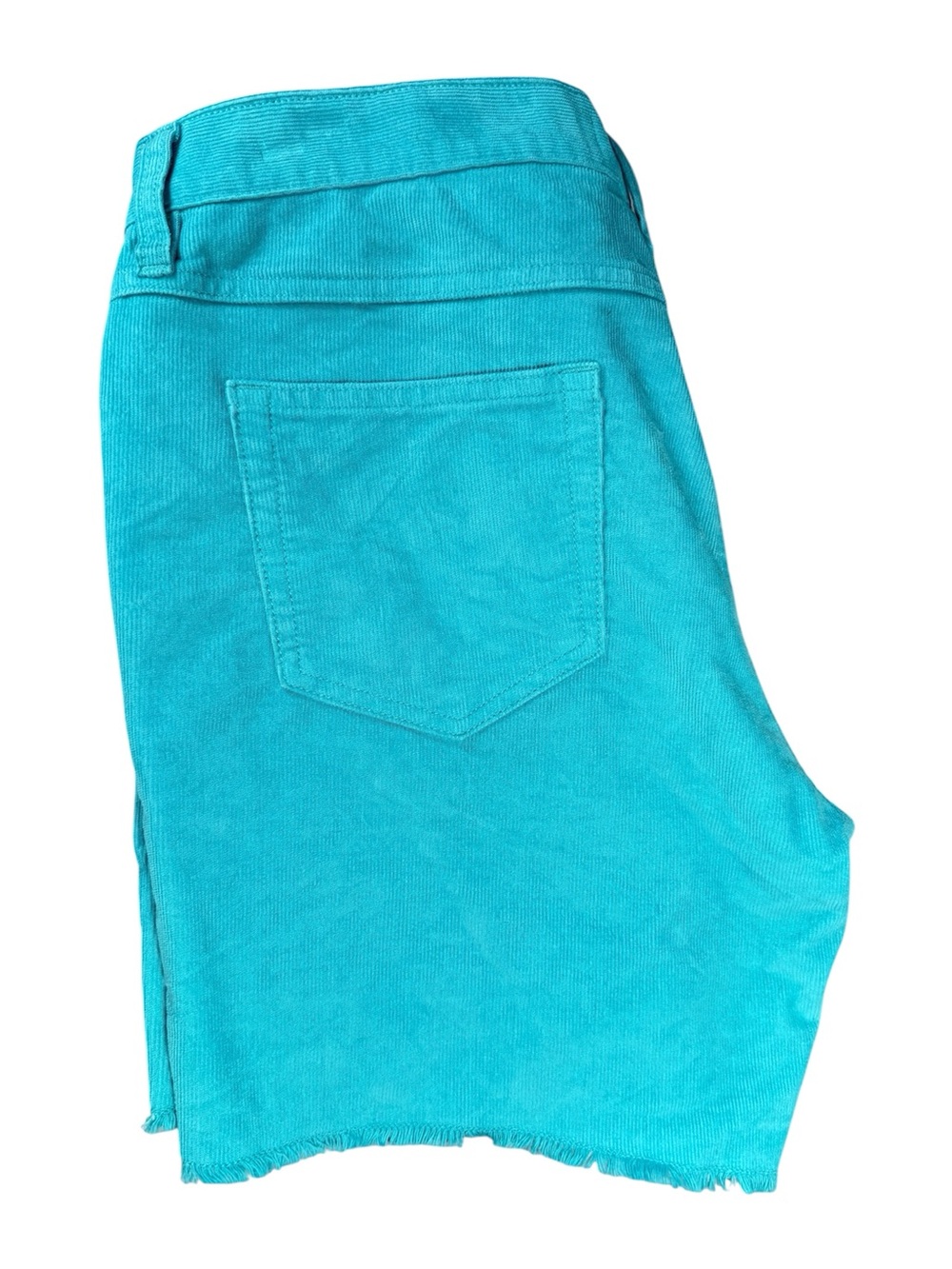 CARVE DESIGN Bright Turquoise Cotton Blend Corduroy Shorts - Picture 5 of 12